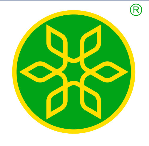 Công Ty Cổ Phần Giải Pháp Chuyên Gia Star Global